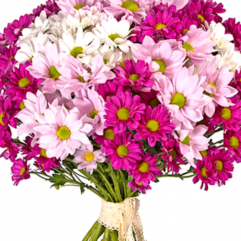 Букет MIX из 11 веток хризантем