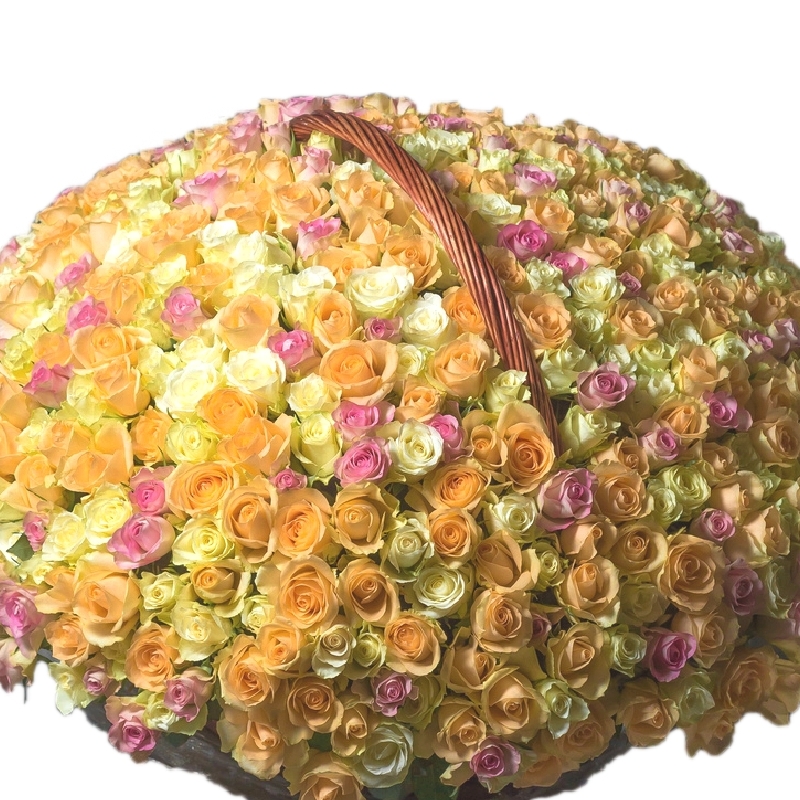 Корзина MIX из 501 розы
